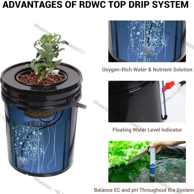Hydroponic Kit - Oferta Imperdível: Sistema de Balde Hidropônico