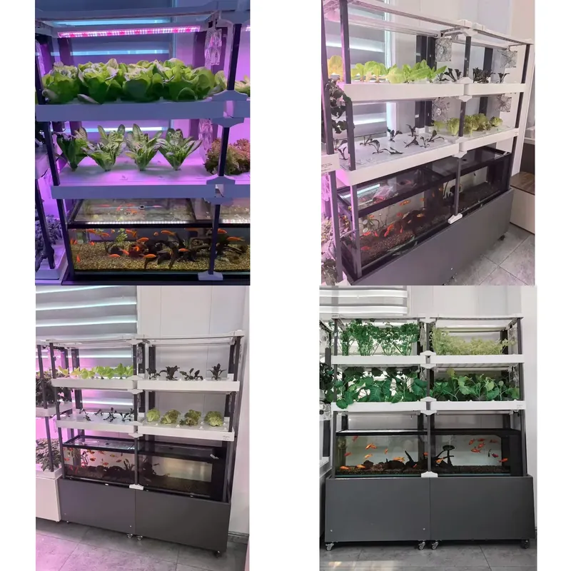 Hydroponic Kit - Sistema hidropônico Seeda, kit de aquaponia