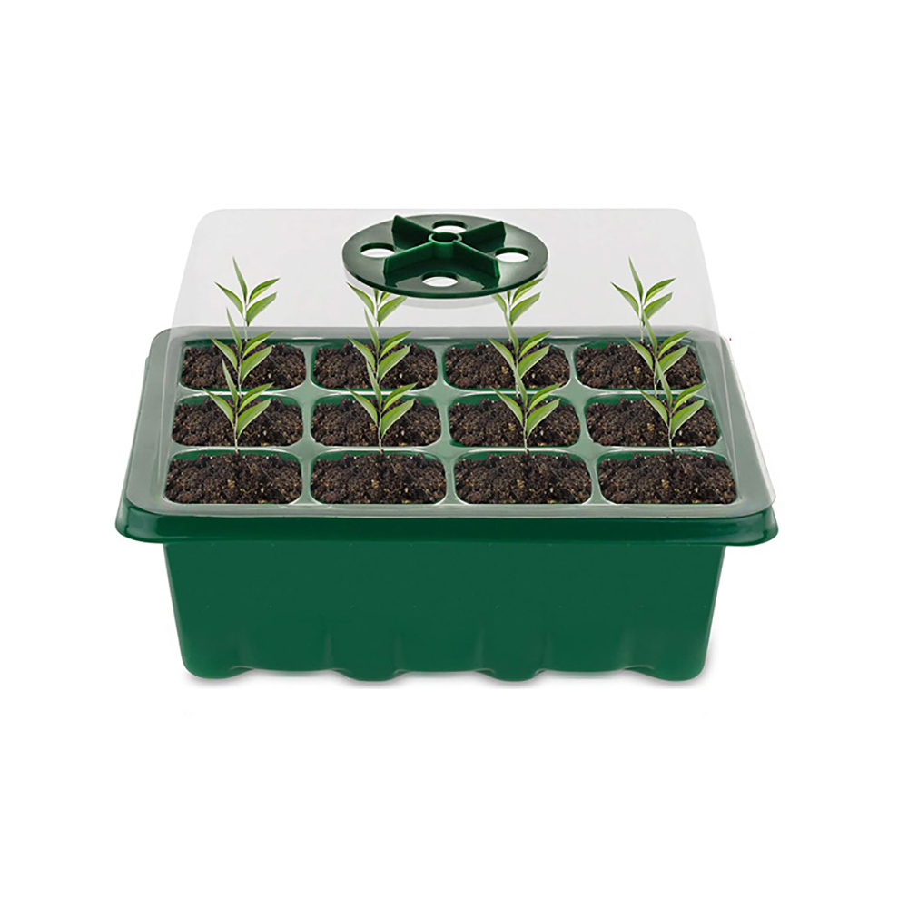 Seed Starter Tray - Seed Starter Bandejas Com Crescer Luz,