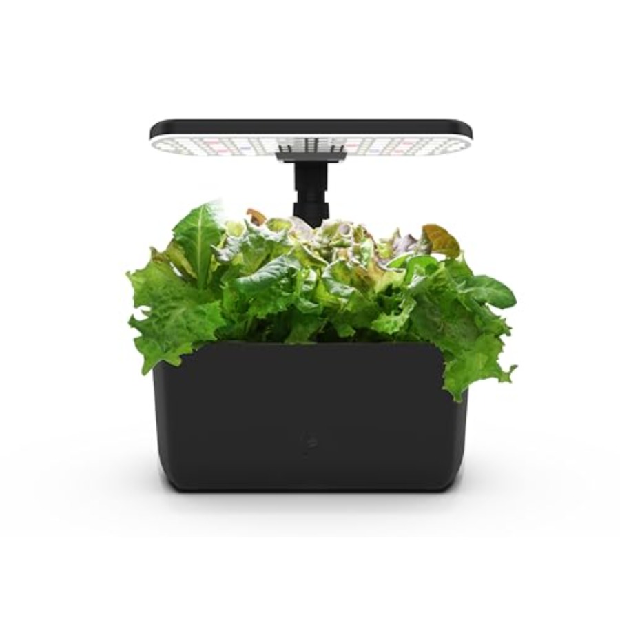 Indoor Herb Garden - Jardim hidropônico interno para cultivo de