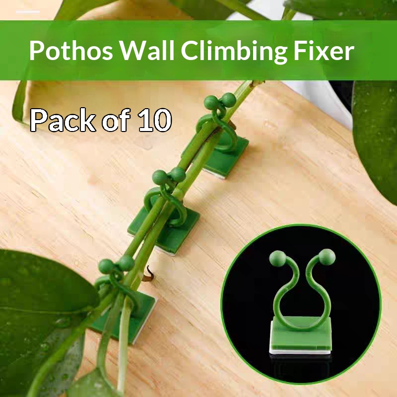 Indoor Herb Garden - Clipes Autoadesivos para Fixação de Plantas