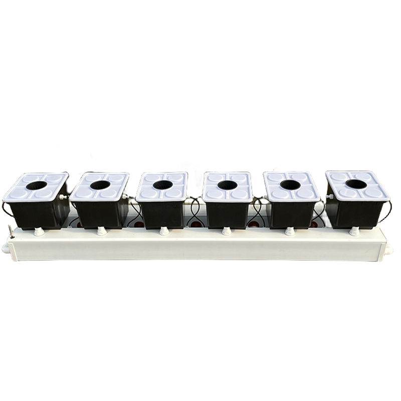 Sistema Hidropônico Dutch Buck - Hydroponic Kit avaliação e preço