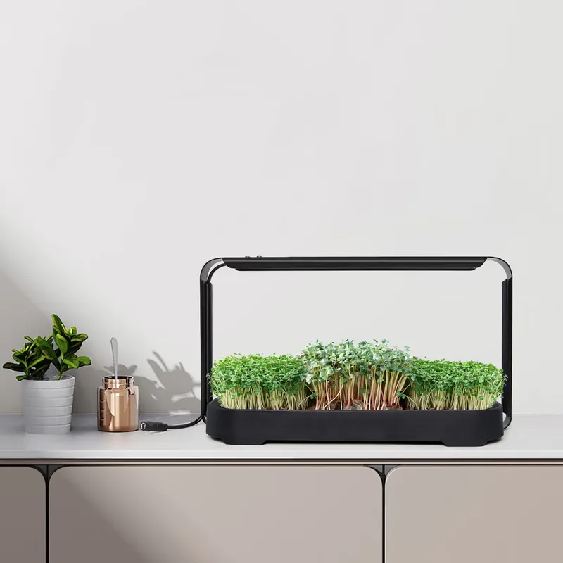Sistema de Cultivo Hidropônico - Hydroponic Kit avaliação e preço