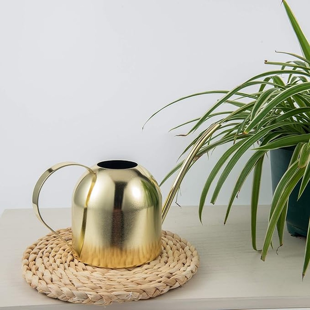 Regador de latão para plantas  - Watering Can avaliação e preço
