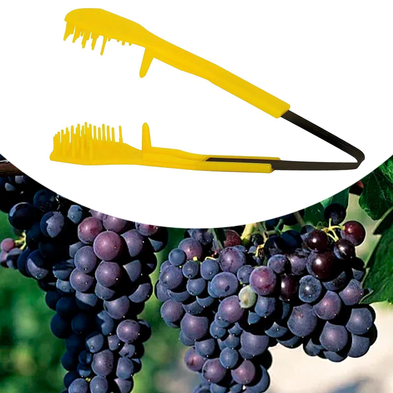 Tesoura de Poda Padrão Compact - Pruning Shears avaliação e preço