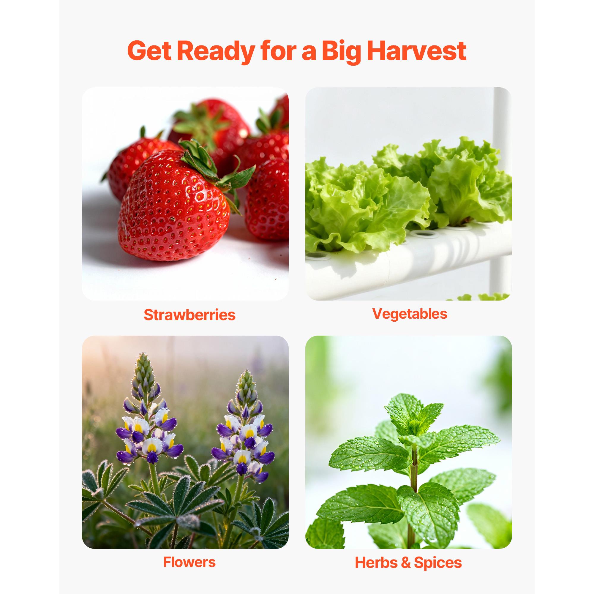 Kit de sistema de cultivo hidr - Hydroponic Kit avaliação e preço