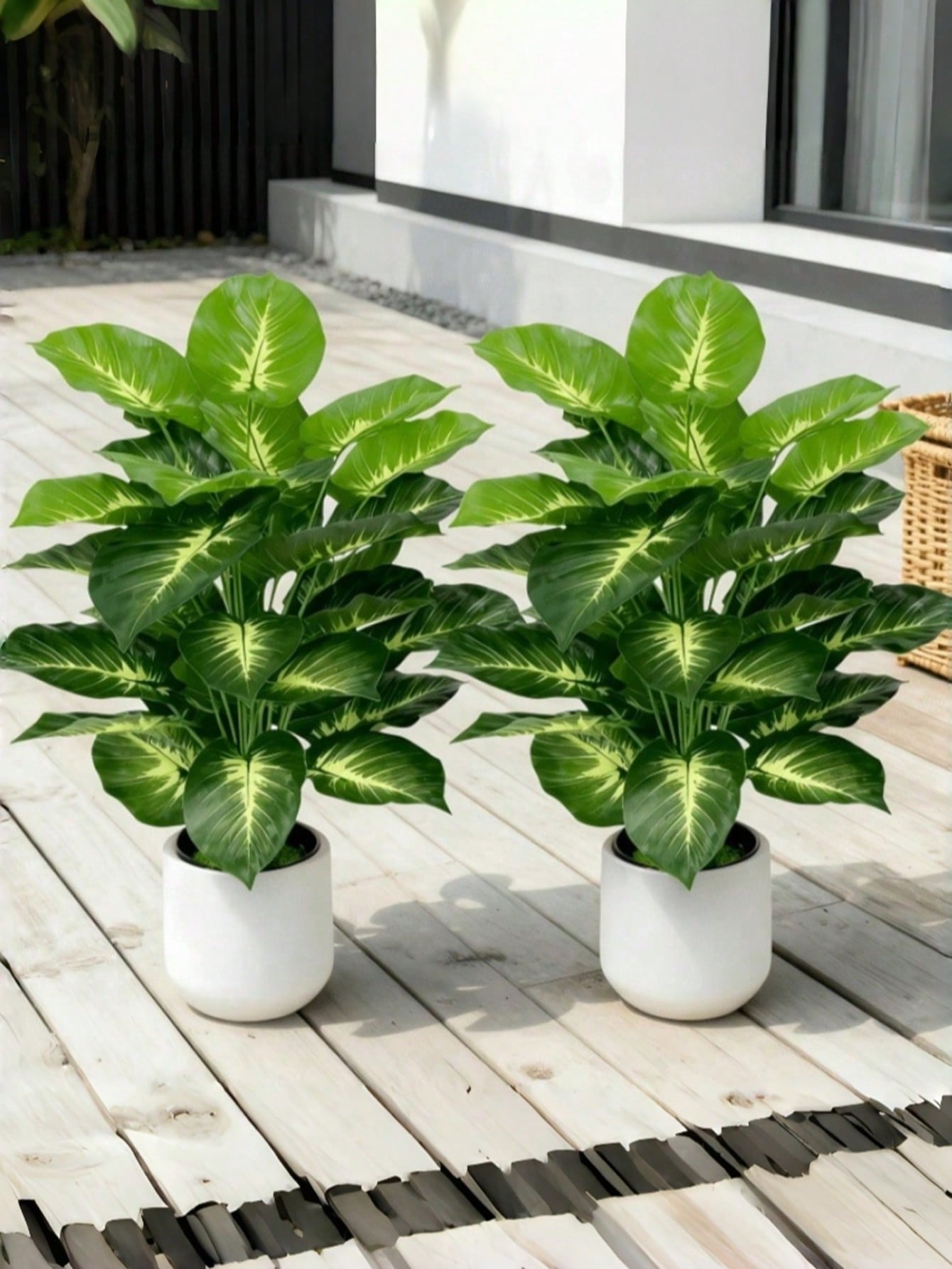 Grande Árvore de Dinheiro Arti - Indoor Herb Garden avaliação e preço