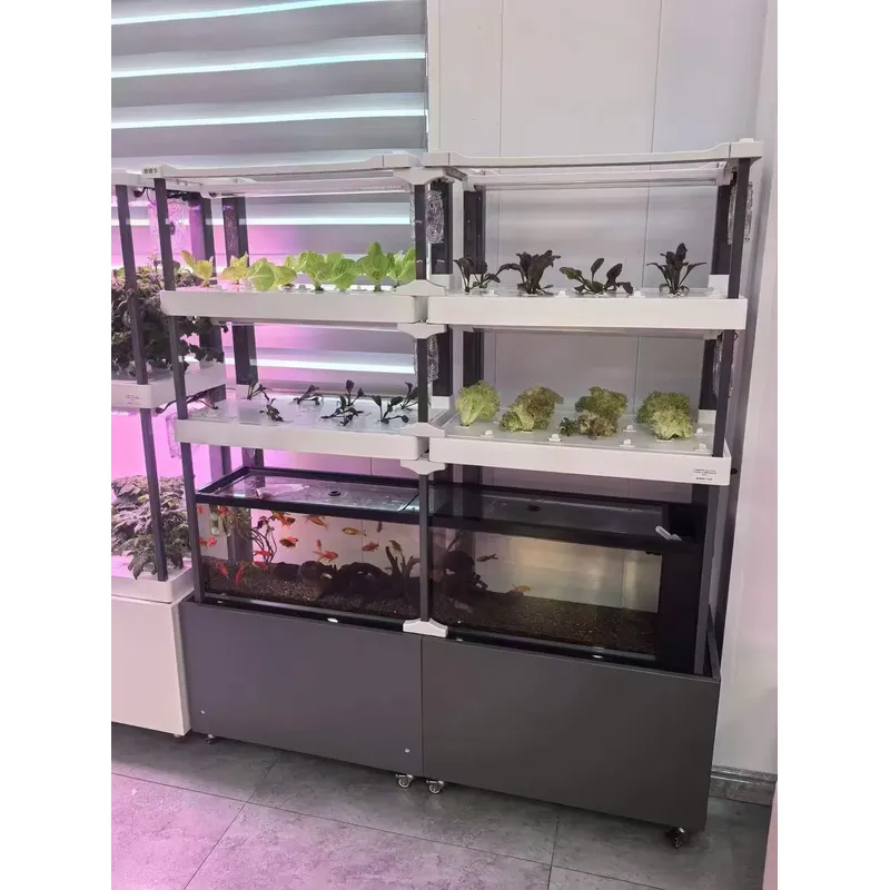 Sistema hidropônico Seeda, kit - Hydroponic Kit avaliação e preço