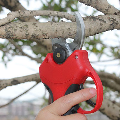 Tesoura de Jardinagem de Alta  - Pruning Shears avaliação e preço