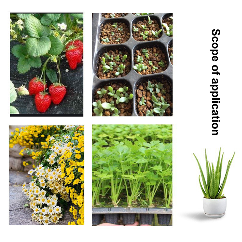 Kit com 10 Bandejas Plásticas  - Seed Starter Tray avaliação e preço