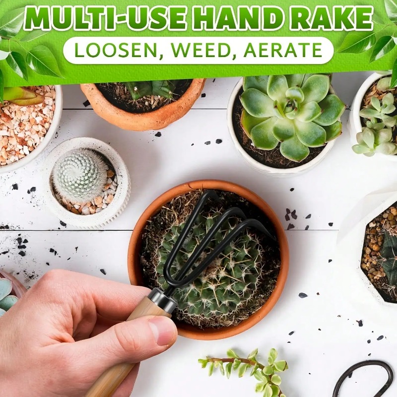 Conjunto de Ferramentas de Jar - Indoor Herb Garden avaliação e preço