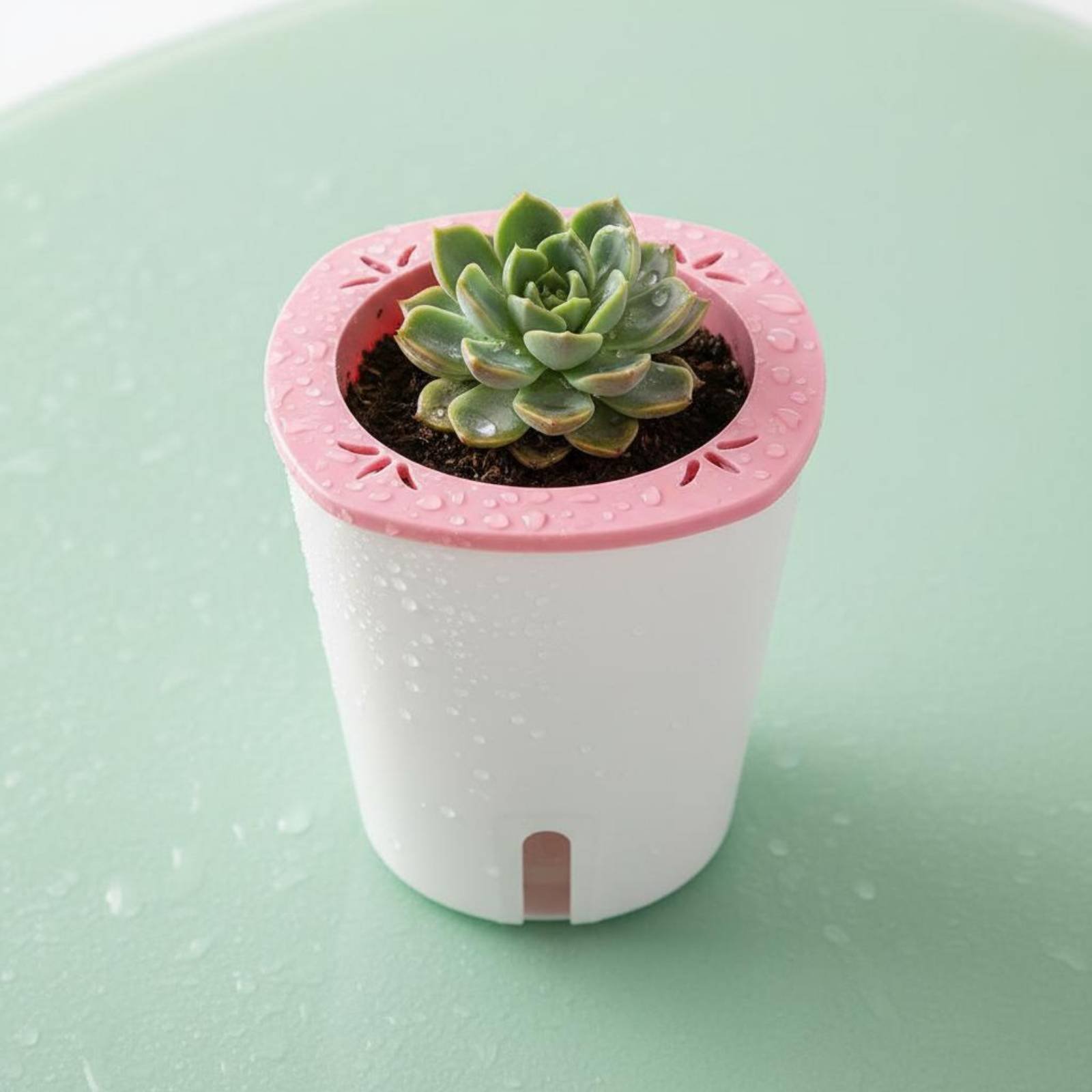 Vaso Autoirrigável Grande com  - Self Watering Planter avaliação e preço
